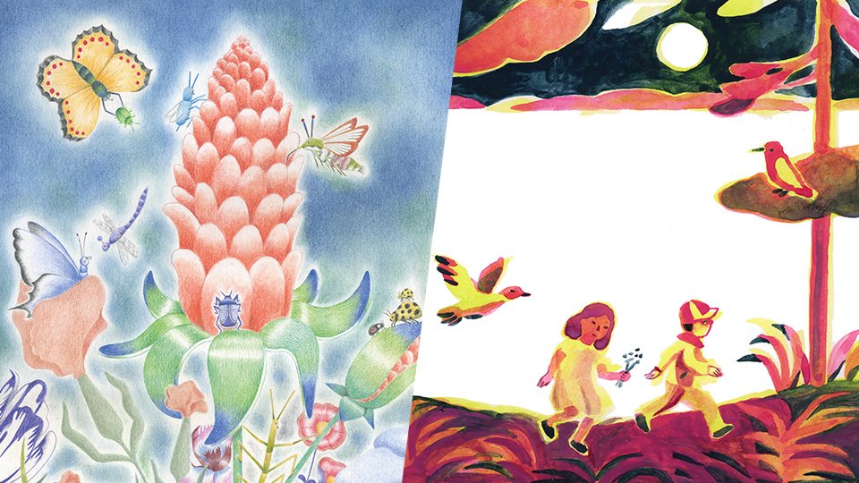 Vis ma vie d’illustratrice, avec Ophélie et Marie